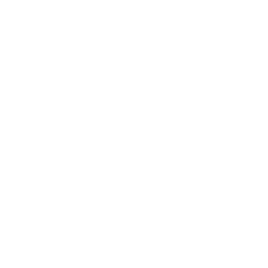 paladins logo blanco